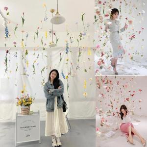 Photo Prop Display Background Fabric