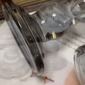 Chân nến thủy tinh trang trí bàn tiệc thích hợp bày bàn tiệc sang trọng và đẳng cấp