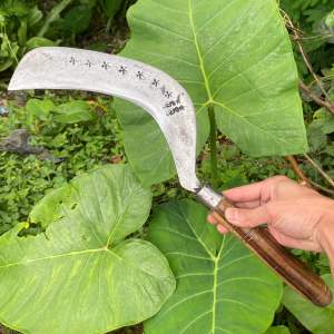 Arit Deres Sadap Kelapa/ Sadap Aren/Sadap Pohon Karet Cap Dewi Bintang