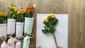 ✨New Arrival✨ 20pcs Single Transparent Flower Wrapping Paper 单只花束透明包花纸