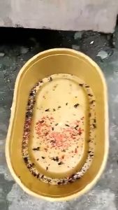 Effective in 30 Seconds 10pcs Fly Killer Powder 200 Meters without Fly 100% Fly Killing Rate