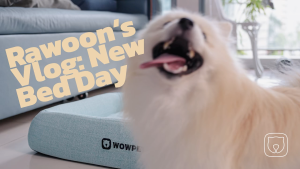 WOWPET Petfy Love Dream Ultra Pet Bed  Orthopedic Memory Foam Dog Cat Bed - Anti-Slip Washable Breathable  S M L Sizes