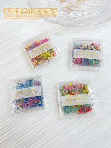 Romantic Mini Dried Flower Nail Art Decorations Mixed Assorted Petal Fairy Country Style DIY Nail Decoration Beauty Tools