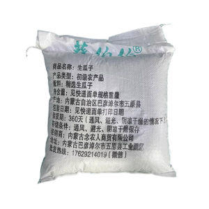 Large Kernels of  Red Gourd Seeds Plump Premium Raw Flavor Watermelon Seeds Directly Shipped from the Source