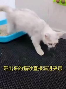 Double-layer Cat Litter Mat Pet Cleaning Pad Easy-to-Clean Anti-Slip Massaging Paw Mat