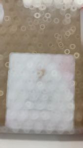 Painting Kit Gypsum DIY Melukis Mewarnai Patung Gipsum Bentuk Transportasi Set Alat Lukis Kuas Cat Air Minyak Watercolor Mainan Edukasi Anak