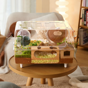 Tafit | Acrylic Large Transparent Luxury Cage