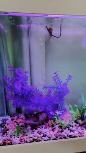 T6 หลอดไฟตู้ปลา RGB 3 แบบ ไฟตู้ปลา การรับรอง TISI ไฟบ่อปลา หลอดไฟ LED แช่ในน้ำใส่ตู้เลี้ยงปลา