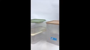 TORI HOME CARE™ Rectangle Container | BPA FREE Multipurpose Food Container | Canister | Food Storage container | Bekas Kuih | Bekas Biskut | Biscuit Container
