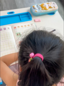 点阵控笔 幼小衔接 学前1000字 华文练习練 汉字描红本 学前控笔练习  練字本 Learn Chinese For Beginner