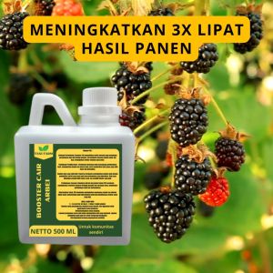 Pupuk Pelebat Buah Arbei: Pemilihan & Penggunaan yang Benar