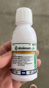 ฟอร์เทนซา ดูโอ ไซแอนทรานิลิโพรล+ไทอะมีทอกแซม ขนาด 100 ซีซี คลุกเมล็ดพันธุ์ได้ 15 กก. คุมหนอน เพลี้ย ทั้งบนดิน ใต้ดิน ยาวนาน 14-21 วันหลังปลูก