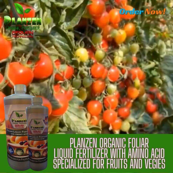 PLANZEN - FOLIAR LIQUID FERTILIZER FOR FRUITS AND VEGETABLES | Lazada PH