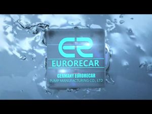 220V Stainless Steel Head Automatic Self Priming Booster Pump Big Suction Silent Jet Pump for Whole House Pressurization