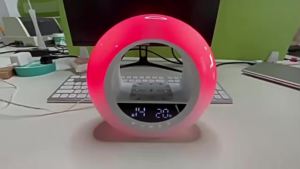 Wireless Charging Wake Up Light Alarm Clock with Sunrise Simulation FM Radio Night Light Natural Sounds Sleep Aid Kids Gift