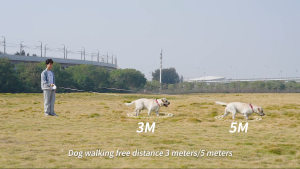 Retractable Dog Leash - Over 10000 units sold/ Awarded Best Pet Supplier in Southeast Asia