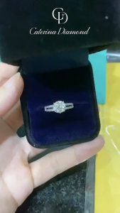 Nhẫn kim cương Moissanite 1.2 Carat ly Caterina Diamond terling silver couple ring DR012 - Kiểm định GRA