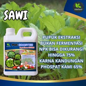 Pupuk Tanaman Sayuran: Pupuk Penyubur Tanaman Sayuran