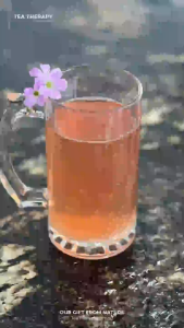 Tea Therapy Singapore - Lychee Fruit Tea - Cholesterol/Saturated Fat Free Drink in Glass Jar