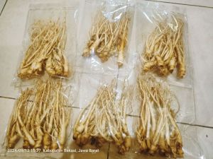 Gingseng merah Korea