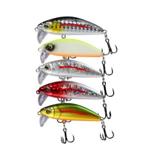 Ewitgo | Long Distance Slow Sinking Fake Bait
