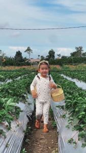 Little Palmerhaus - Little Wear Attire Set Baju Lengan Pendek Celana Panjang (1-5 tahun)