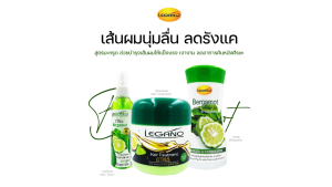 แชมพู สมุนไพร ลีกาโน่ Hair Shampoo 220ml. ลดการหลุดร่วงของเส้นผม มี 4 สูตร มะกรูด มะกอก อัญชัน มะพร้าว