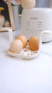Automatic Egg Cooker Household Small Egg Steamer Multipurpose Egg Boiler