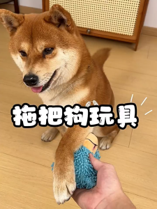 Japanese Style Cutie Hug Dog Mop Pet Toy For Cats And Dogs Mainan Anjing Kucing Suara