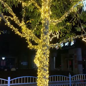LED String Lights Christmas Decoration Lights Night Light 6M40L/10M80L Waterproof Light Strip Warm/Color