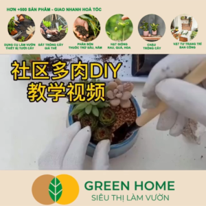 Mua 5 tặng 1 - Dụng Cụ Làm Vườn Greenhome 3 Món Gồm Xẻng Xúc Đất Cào  Mini Cán Gỗ Tiện Lợi Dễ Sử Dụng Trồng Sen Đá Tiểu Cảnh