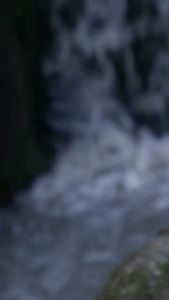 Obat Oles Sariawan Untuk Anak | Minyak Sagha Sammo RESMI | Bisa COD Bandung