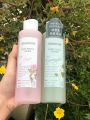 Toner Diếp Cá Mamonde Poẻ Clean 250ml. 