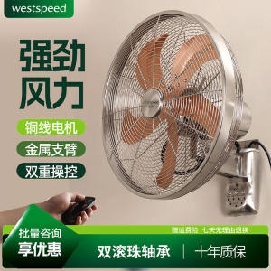 Metal Wall Fan Retro Wall Mounted Electric Fan for Shops Restaurants Commercial Iron Blade Fan High Wind Power 40cm Size