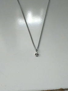 FLEUR DE LIST MINI CHARM-KALUNG TITANIUM RANTAI JARANG SILVER PRIA WANITA LIONTIN BESI FLEUR MINI CHARM-CJR TITANIUM