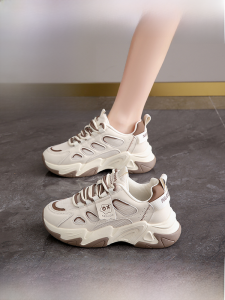 Womens Dad Sneakers Breathable Mesh Upgraded Version Fall Season Lightweight Sports Shoes Comfortable Walking Shoes