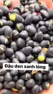 Đậu Đen Xanh Lòng Rang Muối Giòn Không Chất Bảo Quản  Thành Phần Organic Tự Nhiên  Hỗ Trợ Ăn Kiêng  Giảm Cân Lành Mạnh Đậu Đen Dinh Dưỡng 1Kg - Lazada
