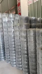 รั้วตาข่ายแรงดึงสูง บังทอง P-Light 2x4" ไล่ระดับ | แข็งแรง ทนทาน ประหยัด | เหมาะกับฟาร์ม สวน ไร่ | รับประกันคุณภาพ