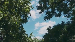 Explorer Science Adventure Vest and Hat Set Explorer Hunting Clothing Cargo Outdoor Adventure Kit