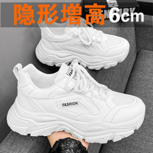 Mens Breathable Mesh Sports Casual Shoes 2024 New Style Autumn Thick Bottom Heightening Teenage Fashion Sneakers