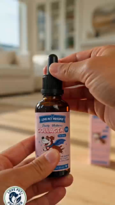 Urinary Tract Support Liquid Drops for Dogs & Cats with Cranberry and D-Mannose 60mL Daily Care