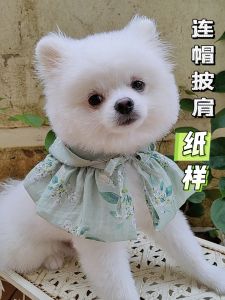 Win-Win Pet Scarf And Towel Pattern Sample Blue White British Short Hair Teddy Cat Dog Doll Accessory Shawl Pet Supplies