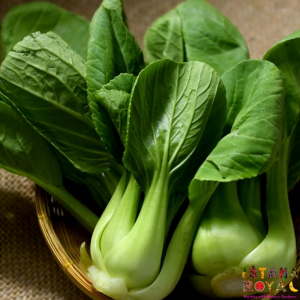 BABY PAK CHOI IMPORTED FROM MALAYSIA - 500G - ISTANA ROYAL FRUITS