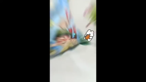 Hampers Snack Ulang Tahun Paket Bingkisan Birthday Anak Ultah by GHEduplay 12k