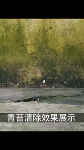 Dung dịch diệt rêu chất diệt rêu tảo làm sạch tẩy rong rêu trên nền xi măng sân gạch vỉa hè 2.5L BRR02