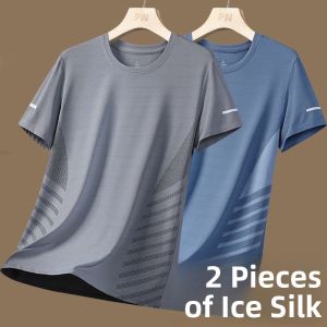 Ice Silk Short Sleeve T-Shirt Mens Summer Thin Breathable Mesh Sport Quick Dry Top Youth Fashion Standard Fit round Neck T-Shirt