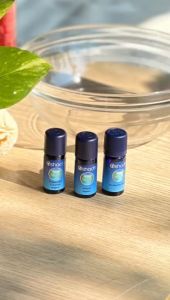 Oshadhi Niaouli Organic (Wild) / Essential Oil / Prevent Bacterial Infections / Anti-Radiation