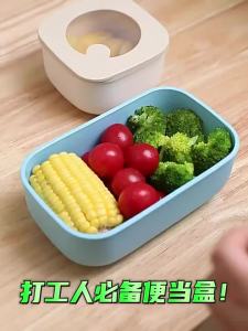 Microwave & Refrigerator Safe Clear Food Storage Box
