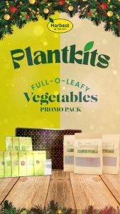 Full-O-Leafy Vegetables! Leafy Vegetables Planting Set OPV and F1 - Harvest In The City