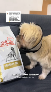 2kg Royal Canin Urinary SO Dry Food All Breeds Adult Dog Dogs Healthy Formula Skin Care Pet Meal